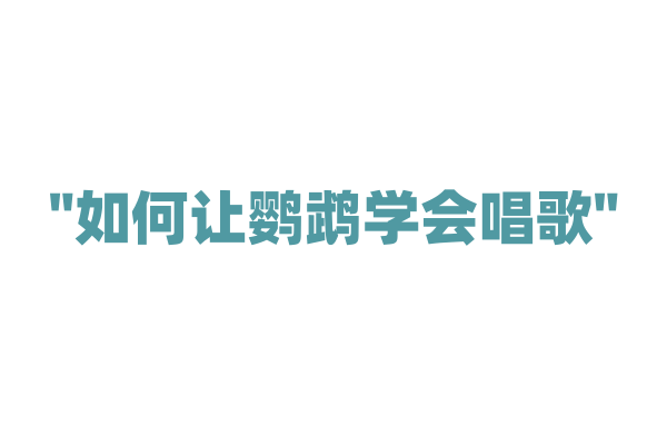"如何让鹦鹉学会唱歌"